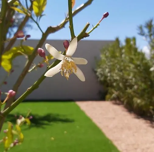 וילה A Cala Rossa לצ'י